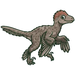 Anchiornis, joonistatud