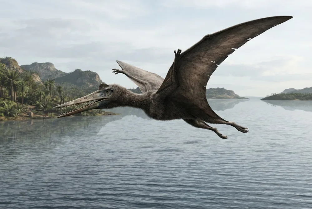 AI-made picture of Moganopterus