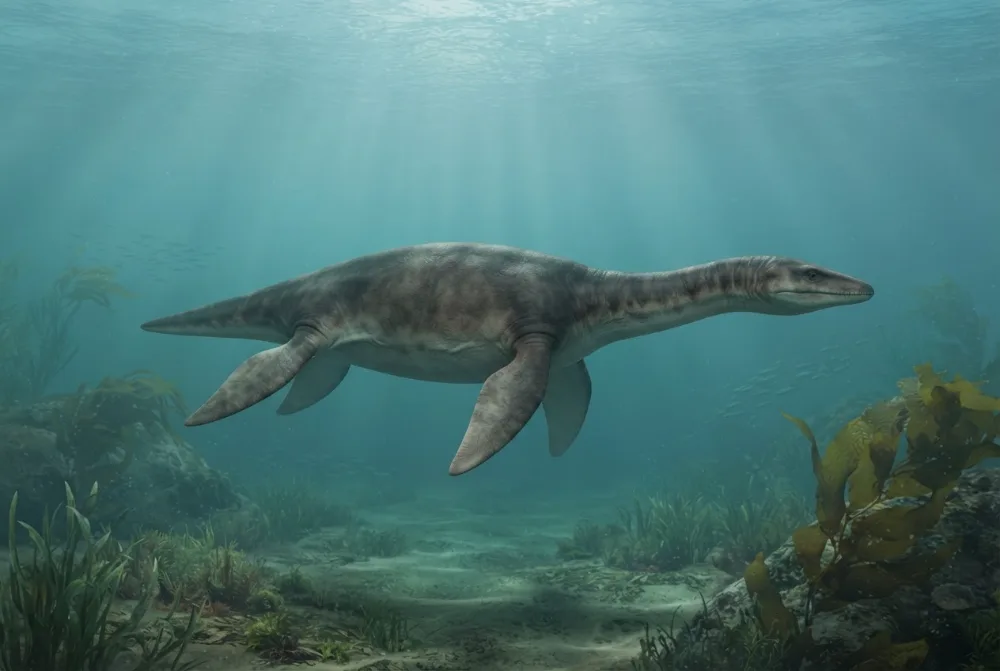 Vectocleidus, tehisaru joonistatud