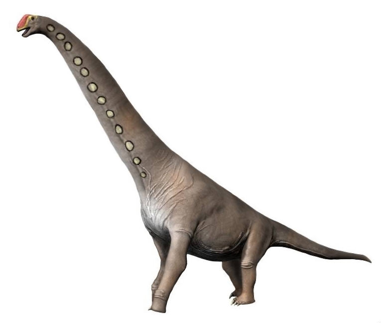 Artist's life restoration of Brachiosaurus