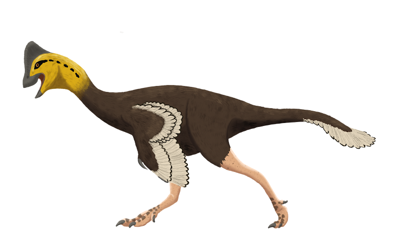 Artist's life restoration of Caenagnathus