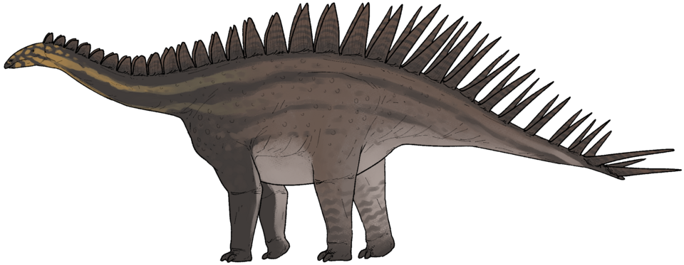 Artist's life restoration of Dacentrurus