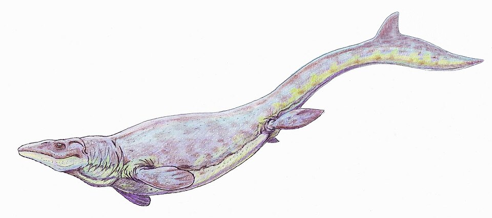 Artist's life restoration of Globidens