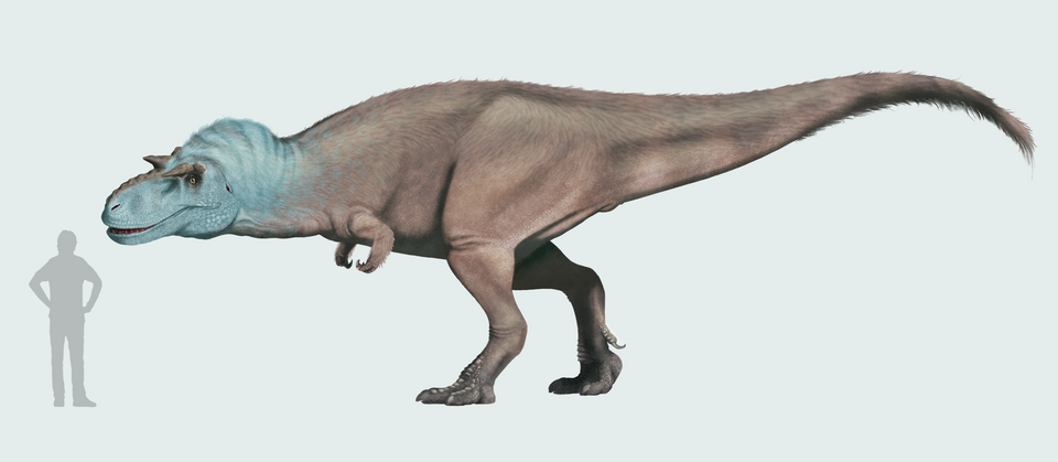 Artist's life restoration of Gorgosaurus