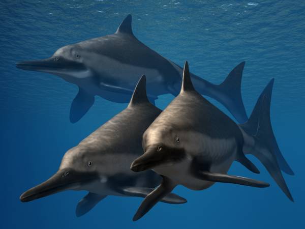 Artist's life restoration of Ichthyosaurus