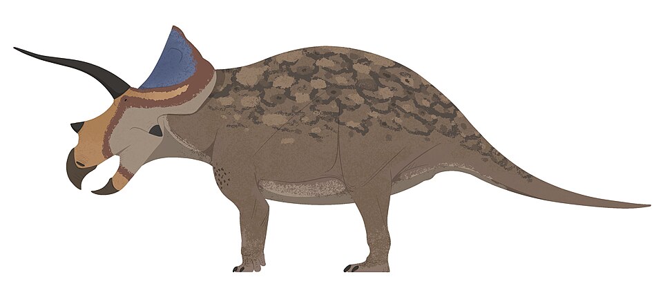 Artist's life restoration of Ojoceratops