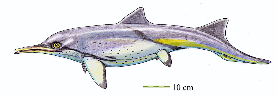 Artist's life restoration of Phalarodon