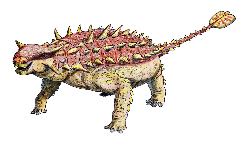 Artist's life restoration of Pinacosaurus