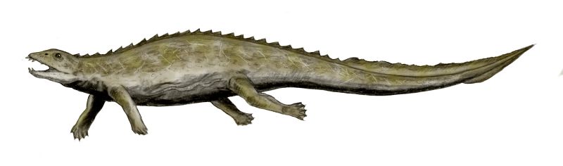 Artist's life restoration of Placodus