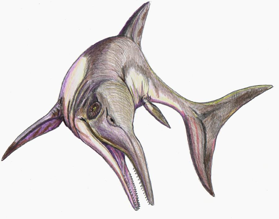 Artist's life restoration of Platypterygius