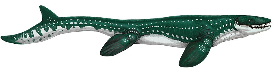 Artist's life restoration of Prognathodon