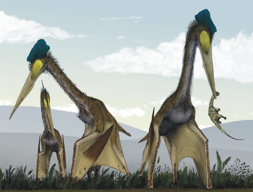 Artist's life restoration of Quetzalcoatlus
