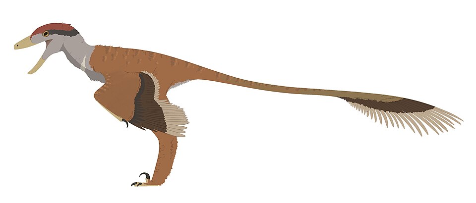 Artist's life restoration of Richardoestesia
