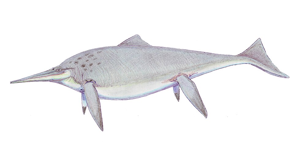 Artist's life restoration of Shonisaurus
