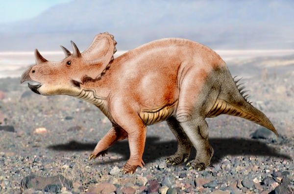 Artist's life restoration of Tatankaceratops