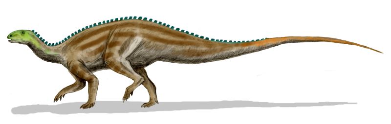 Artist's life restoration of Tenontosaurus