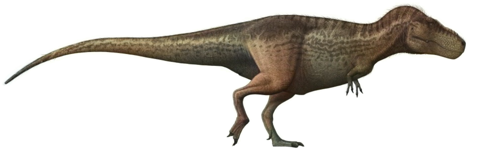 Artist's life restoration of Tyrannosaurus